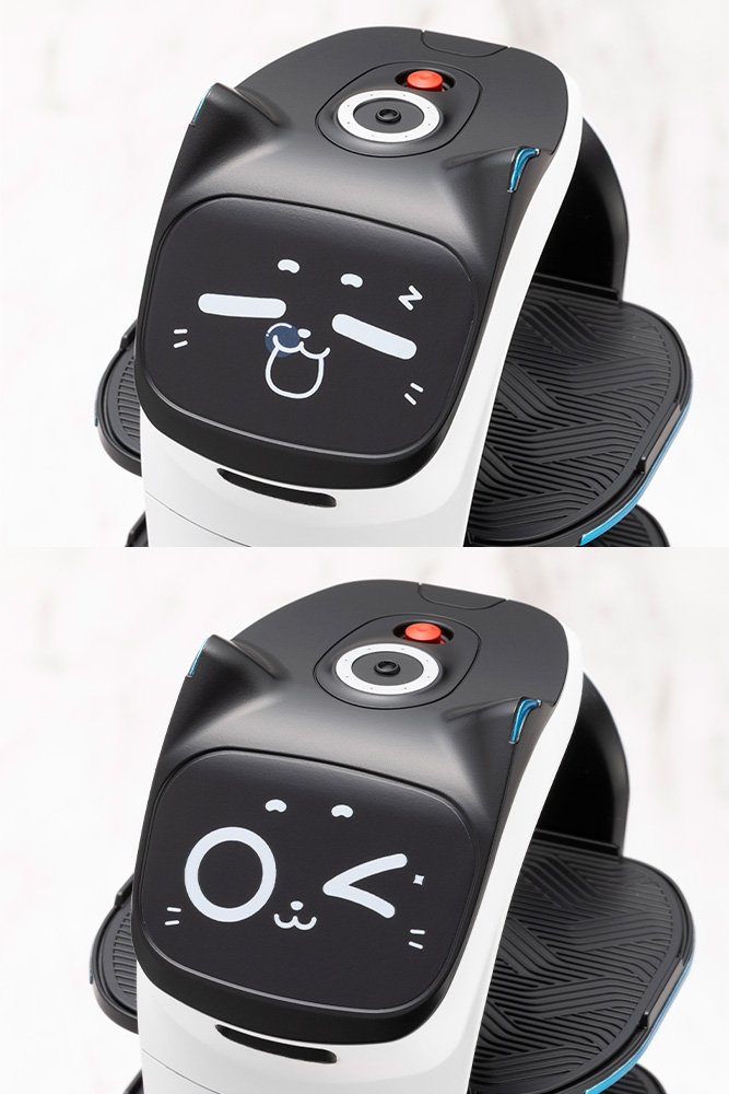 KP828 GRANDE SCALE BellaBot - Image 11